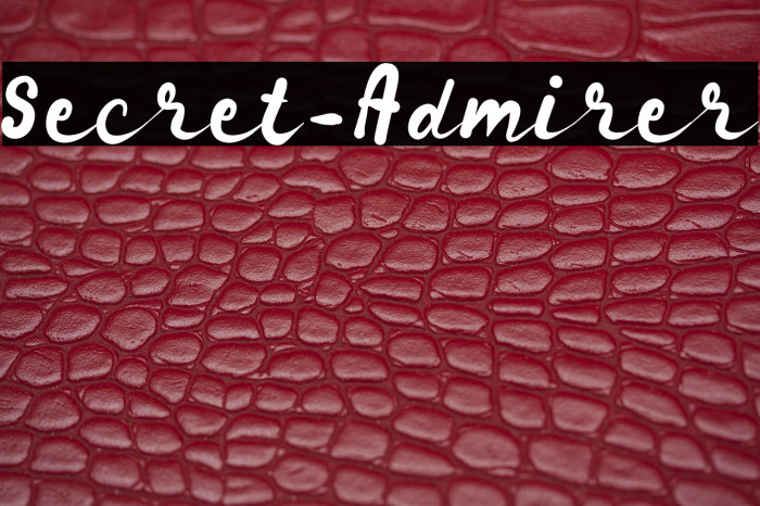 Secret_Admirer Example 3