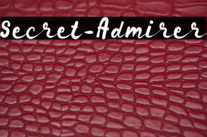 Secret_Admirer Example 3