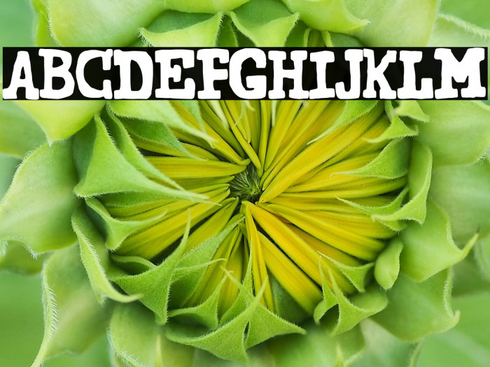 Secretary of State Example 1