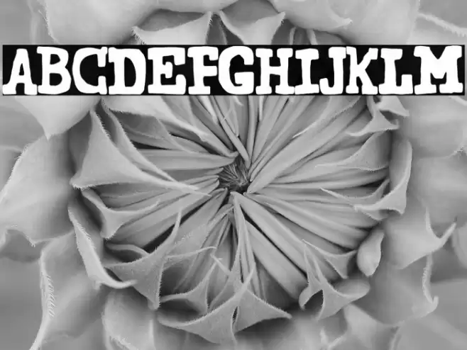 Secretary of State Font examples