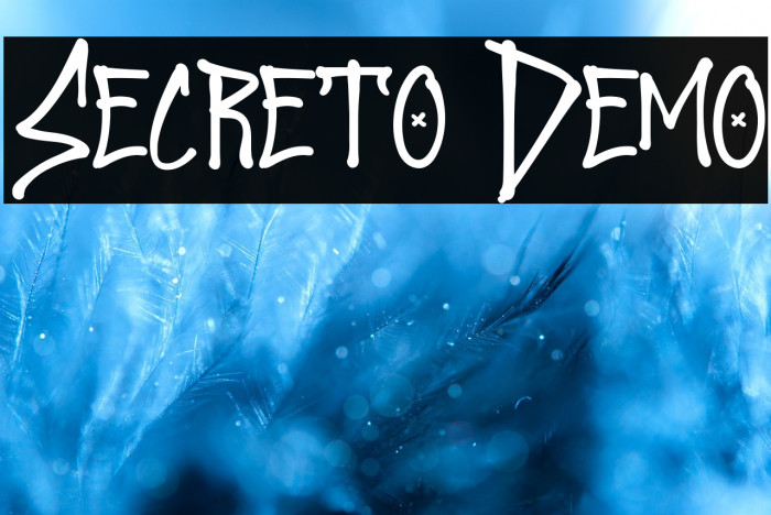 Secreto Demo Example 2