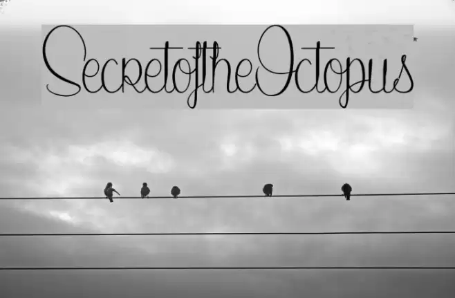 SecretoftheOctopus Font examples