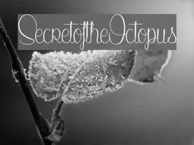 SecretoftheOctopus Font examples