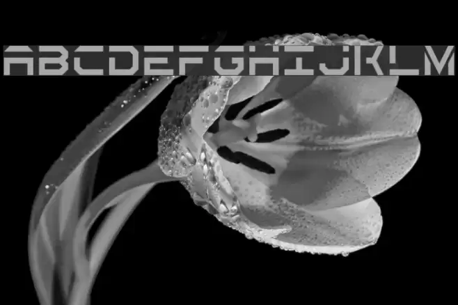 Secrets Stencil Regular Font examples