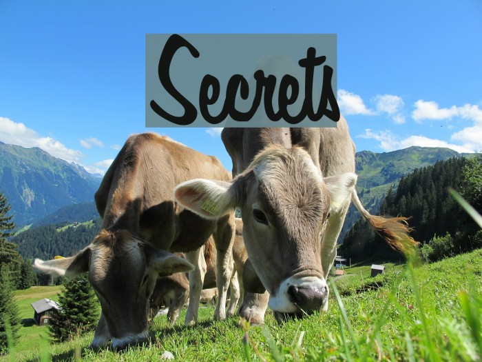 Secrets Font examples