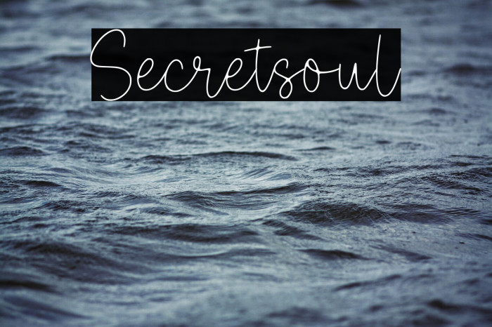 Secretsoul Example 3