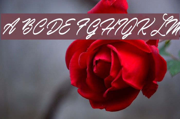 Secretss Personal Use Regular Font examples