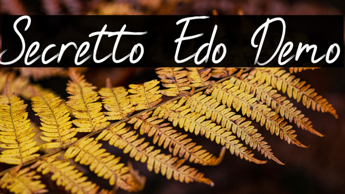 Secretto Edo Demo Example 1