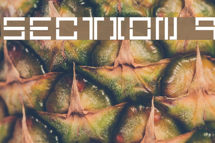 Section 9 Font examples
