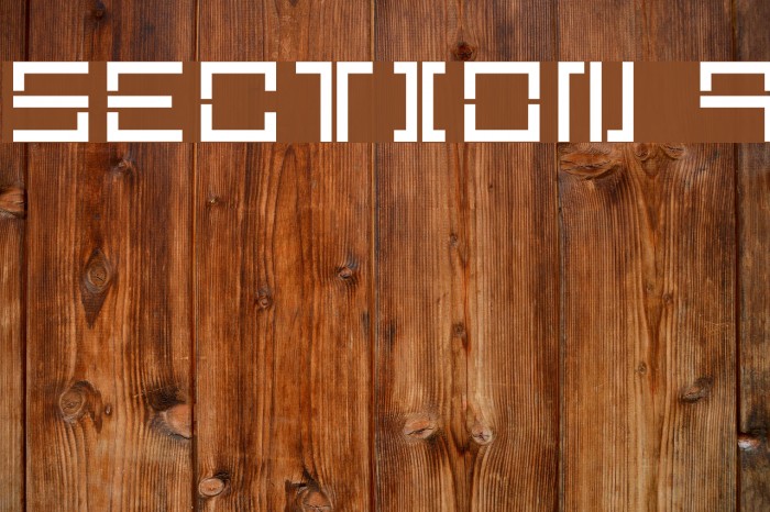 Section 9 Font examples