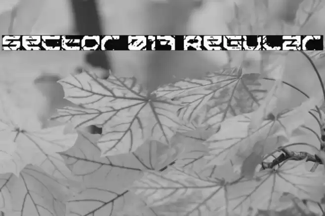 Sector 017 Regular Font examples