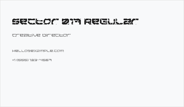 Sector 017 Regular Business Card