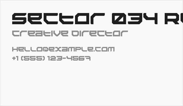 Sector 034 Regular Business Card