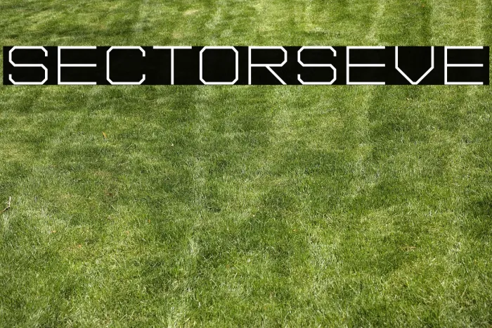 Sector Seven Example 2