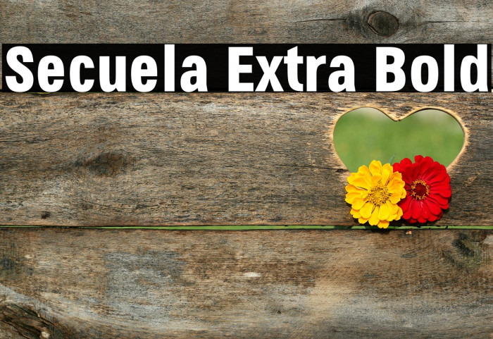 Secuela Extra Bold Font examples