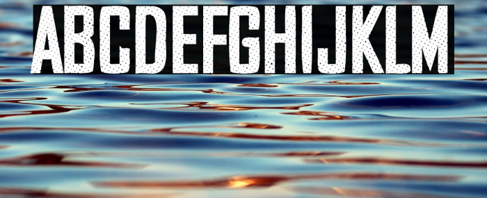 Security Company Example 1