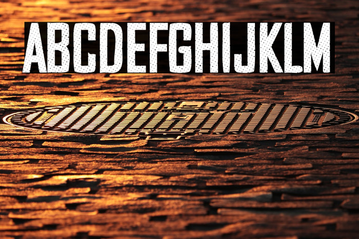 Security Company Example 2