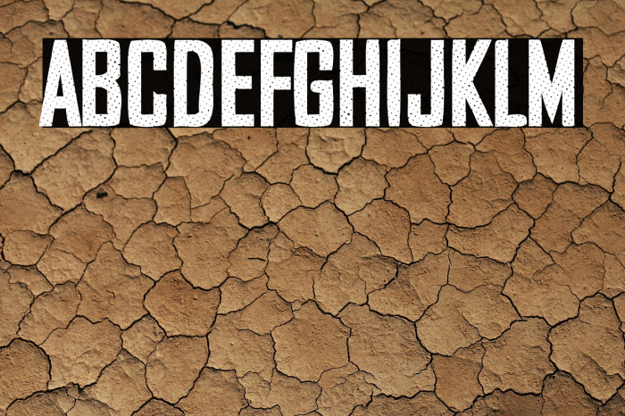 Security Company Example 3