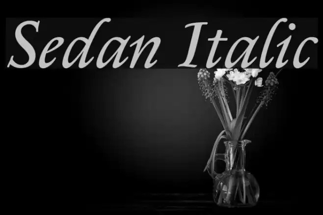 Sedan Italic Font examples