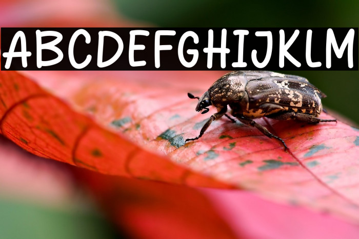 Sedap Kali Example 2