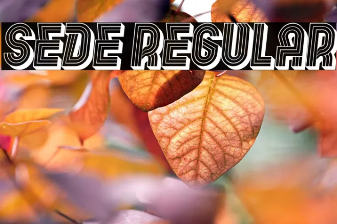Sede Regular Example 1