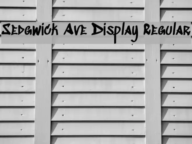 Sedgwick Ave Display Regular Font examples