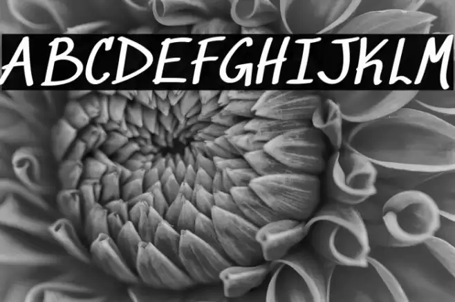 Sedgwick Ave Regular Font examples