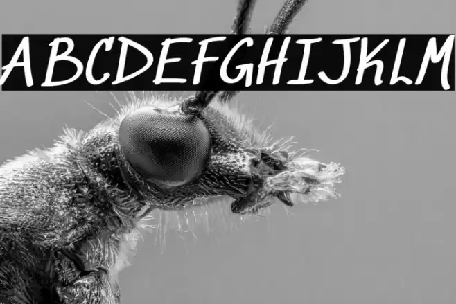 Sedgwick Ave Regular Font examples