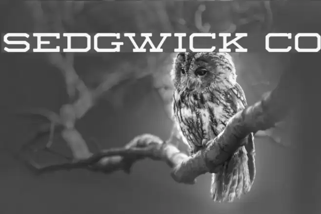 Sedgwick Co Font examples