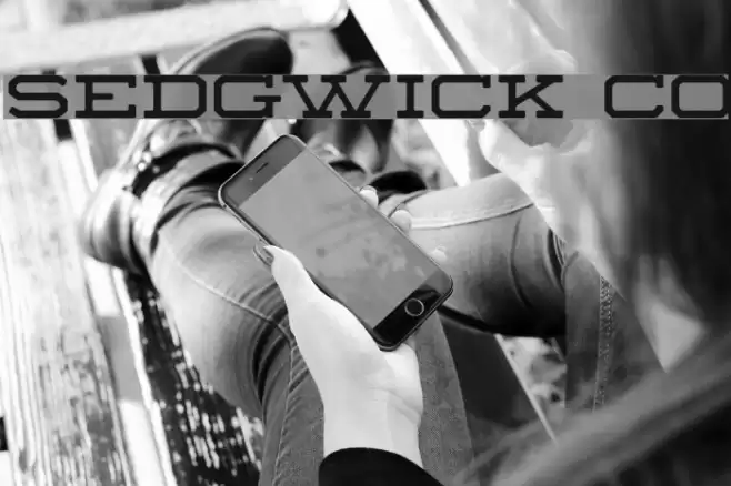 Sedgwick Co Font examples