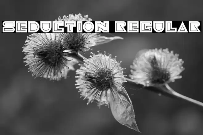Seduction Regular Font examples