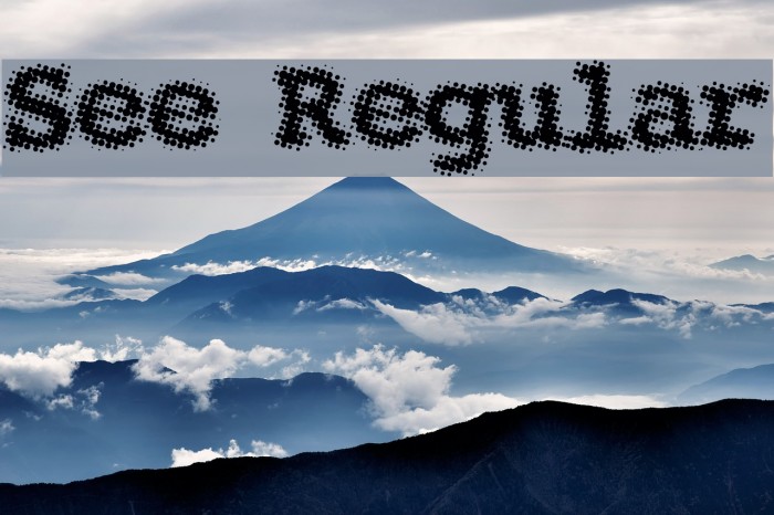 See Regular Font examples