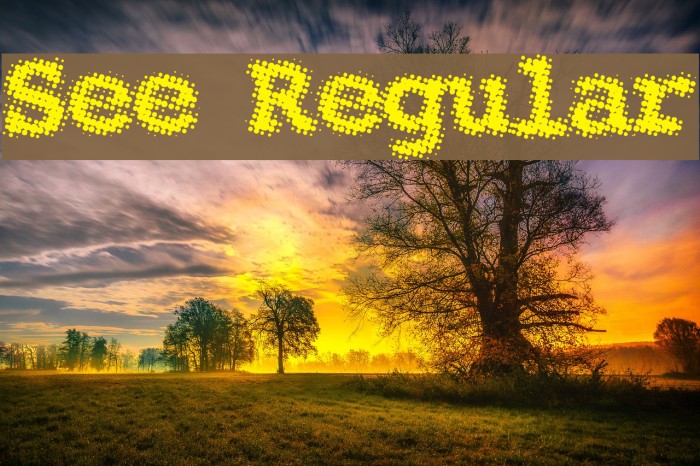 See Regular Font examples