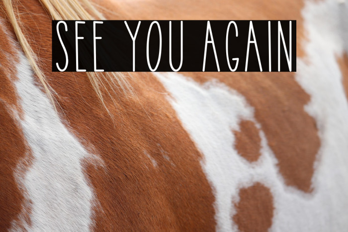 See You Again Example 1