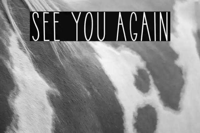 See You Again Fuentes examples