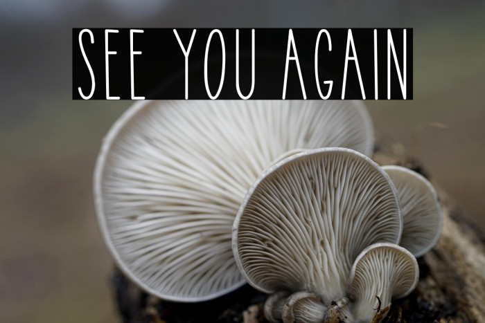 See You Again Example 3