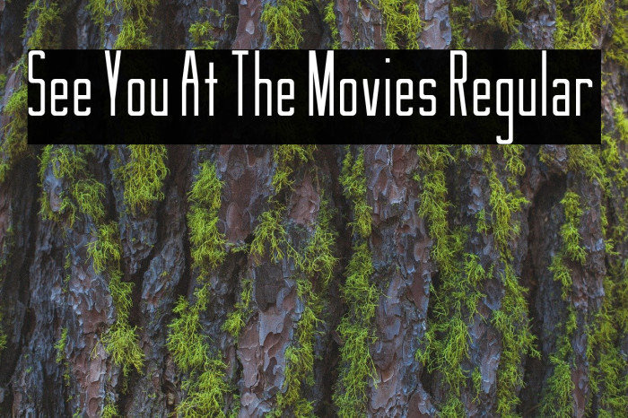 See You At The Movies Regular Font examples
