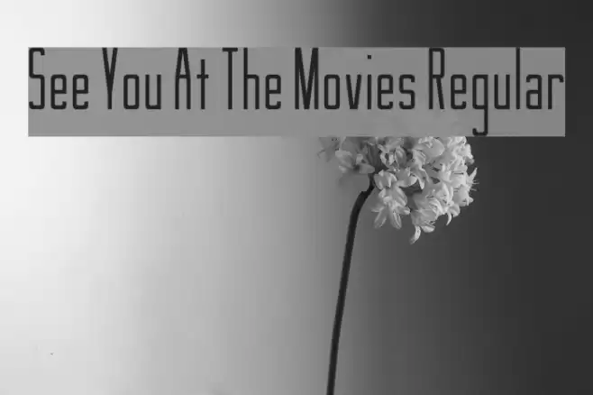 See You At The Movies Regular Font examples