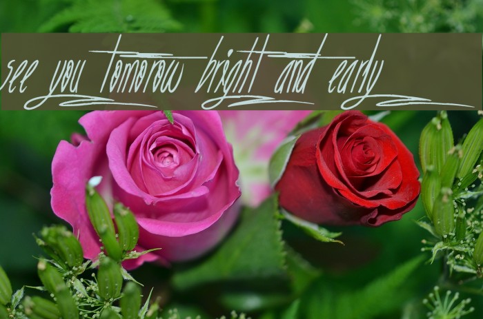 See you tomorow bright and early Font examples