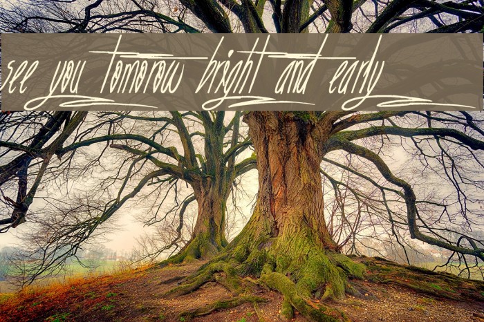 See you tomorow bright and early Font examples