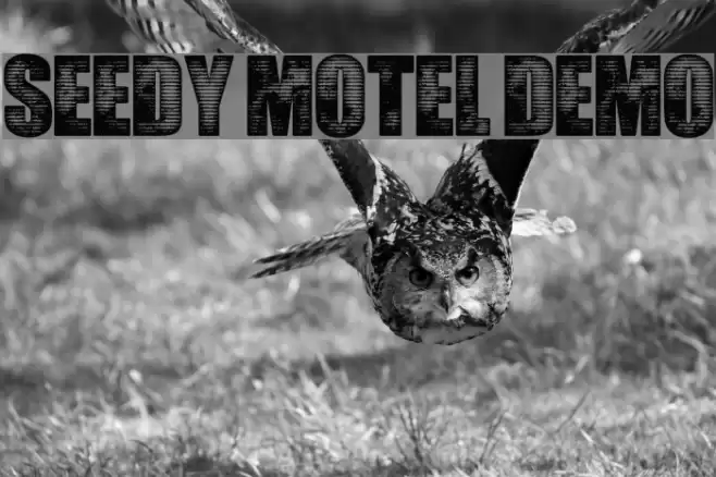 Seedy Motel DEMO Font examples