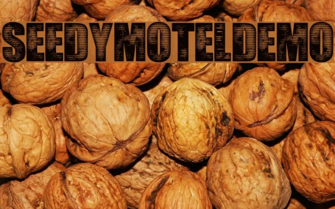 SeedyMotelDEMO Example 1