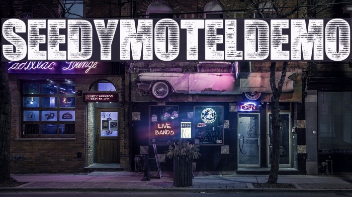SeedyMotelDEMO Font examples