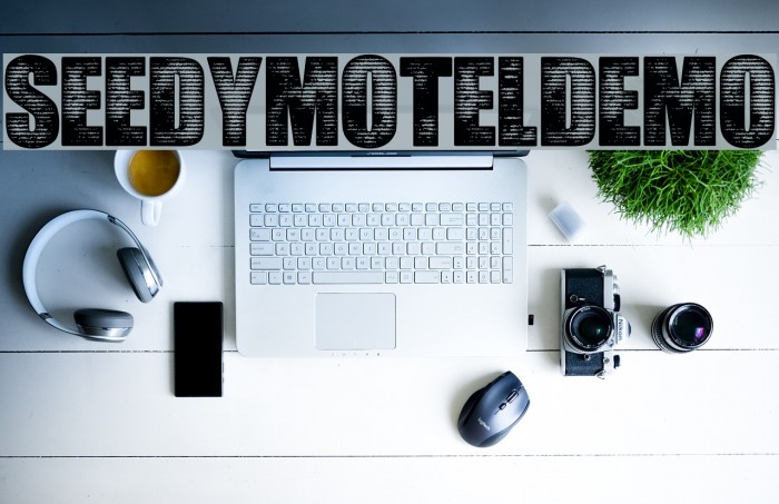 SeedyMotelDEMO Font examples