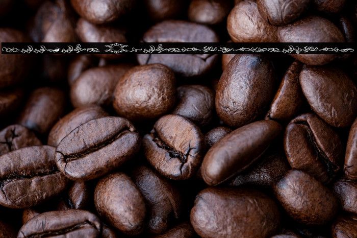 Seekers 2_PersonalUseOnly Example 3