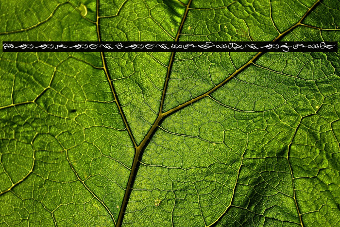 Seekers_PersonalUseOnly Example 3