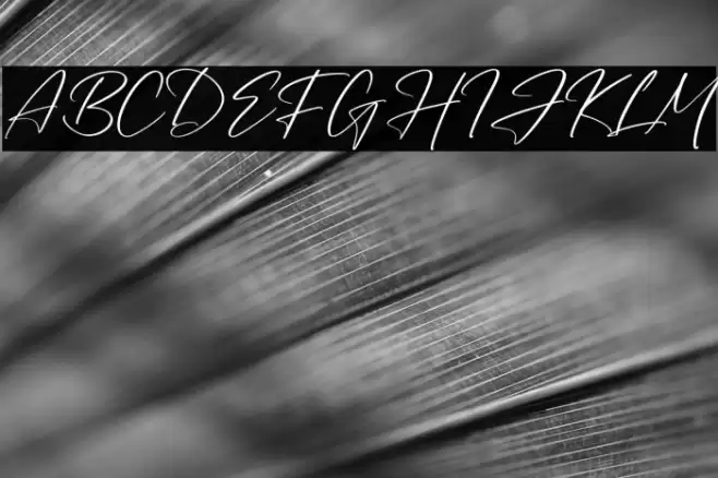 Seethara Font examples