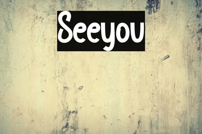 Seeyou Example 2