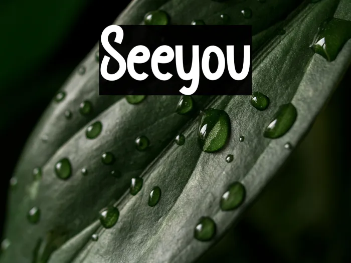 Seeyou Example 3
