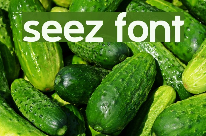 Seez Font examples